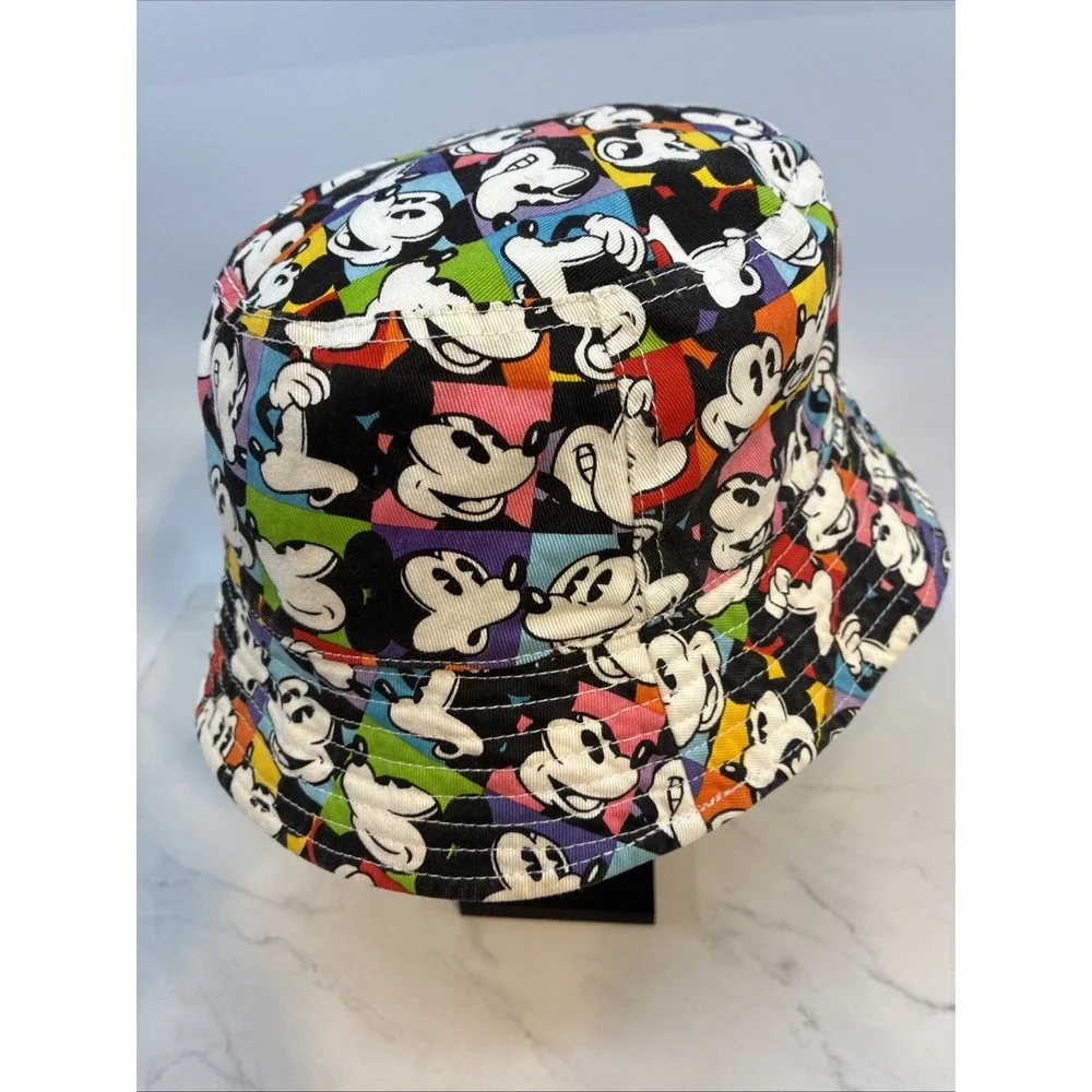 Disney parks hat